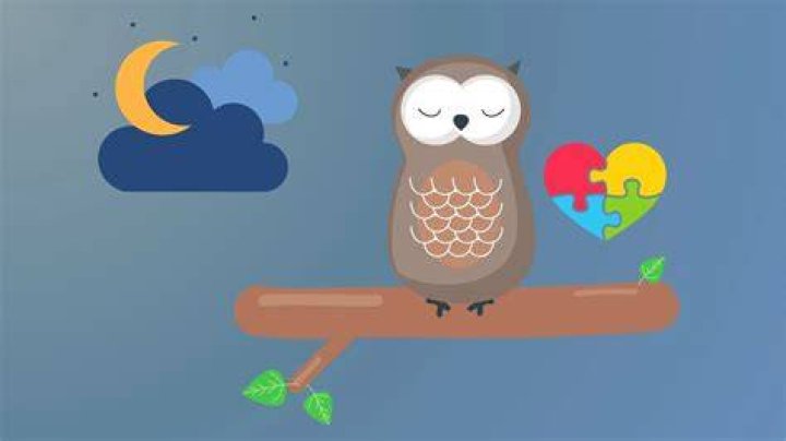 Are ADHD night owls?