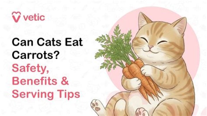 Are raw carrots safe for cats?