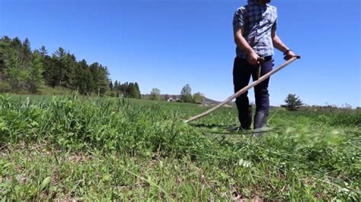 Are scythes still used?