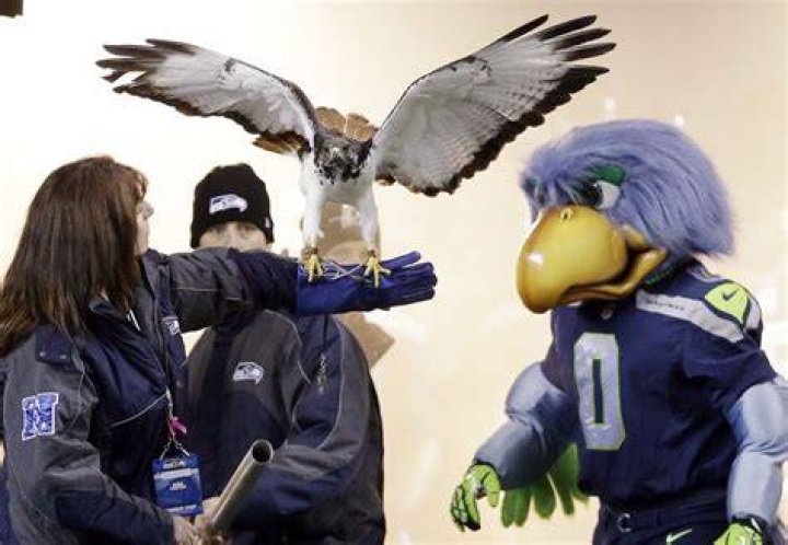 Are Seahawks a real bird?