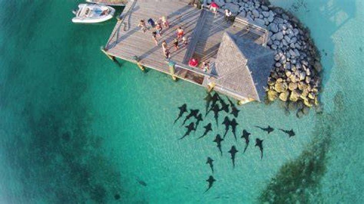 Are The Bahamas safe?
