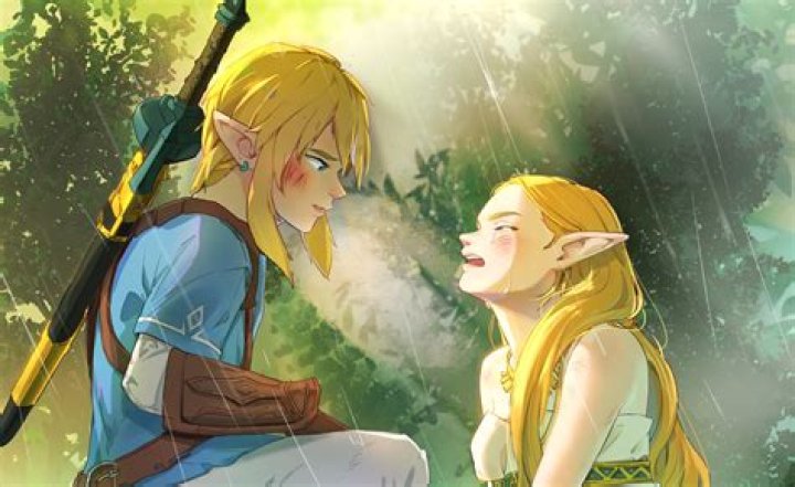 Are Toon link and Link the same person?