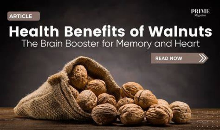 Are walnuts brain food?