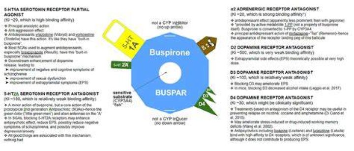 Can BuSpar cause heart problems?