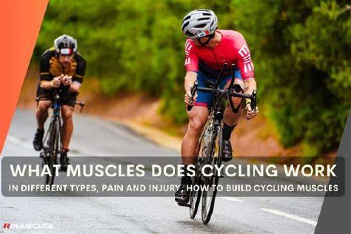 Can cycling build muscle?
