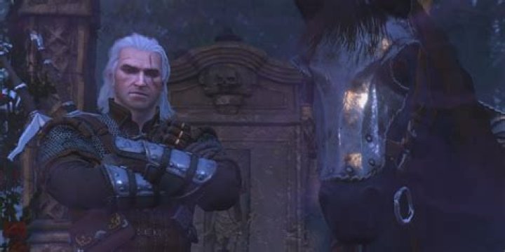 Can Geralt understand roach?