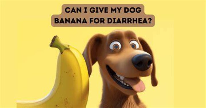 Can I give my dog a frozen banana?