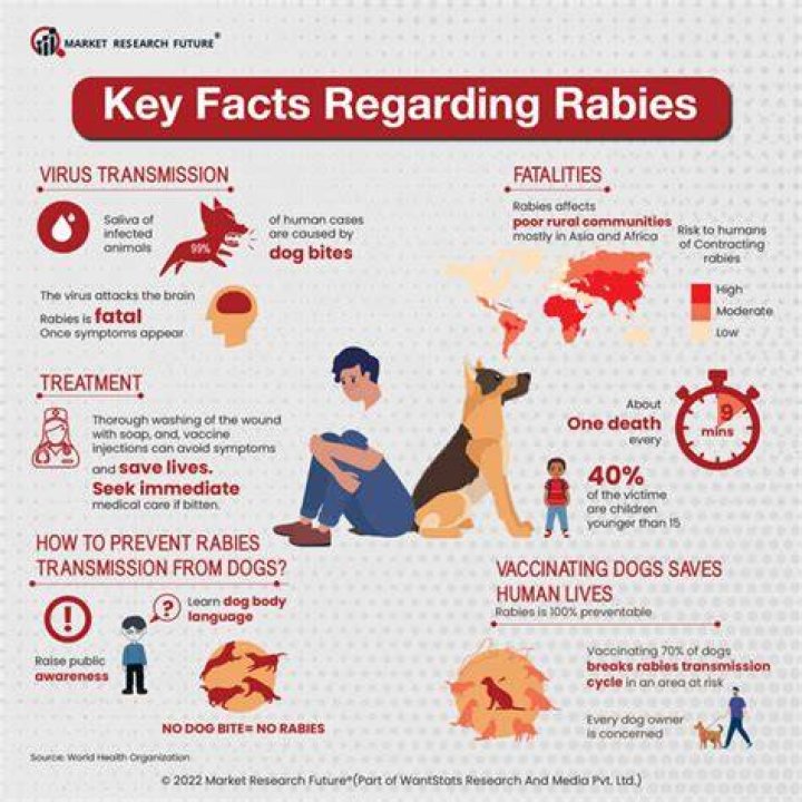 Can I take rabies vaccine after 48 hours?