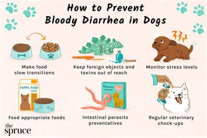Can ice cubes give a dog diarrhea?