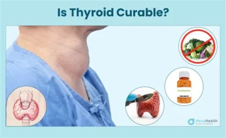 Can moringa cure thyroid?