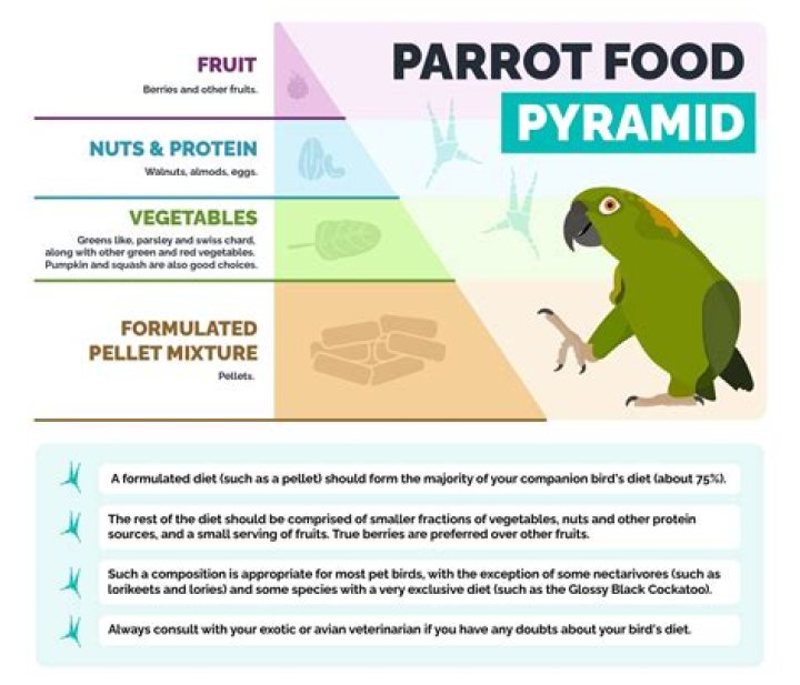 Can parrots eat lady finger?