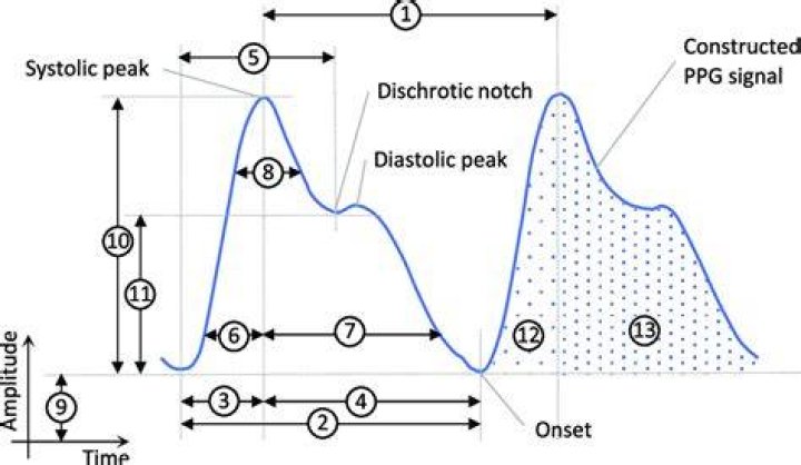 Can PPG measure blood pressure?