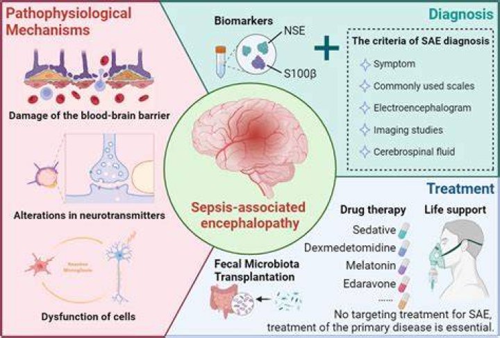 Can sepsis brain damage be reversed?