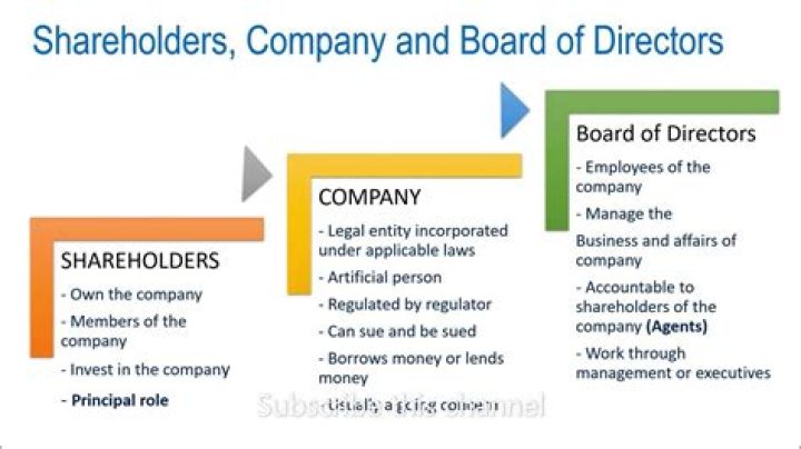 Can shareholders appoint directors?