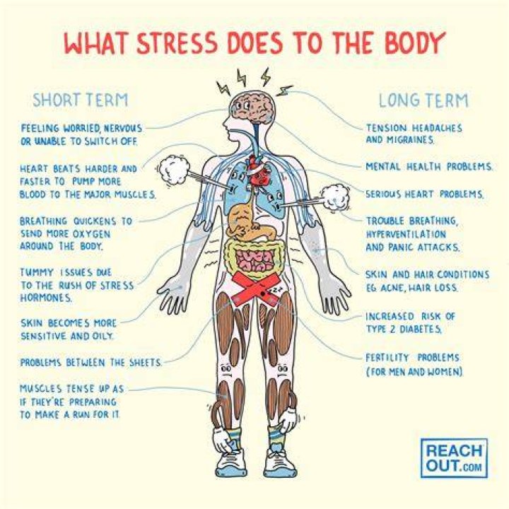 Can stress cause baby to stop growing?