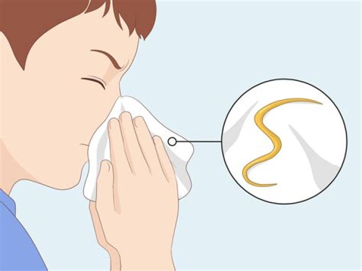 Can worms come out of nose?