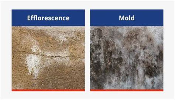 Can you get rid of efflorescence?