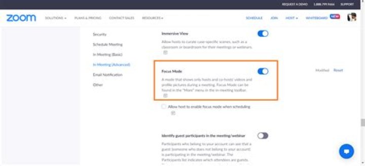 Can you hide participants in Zoom webinar?