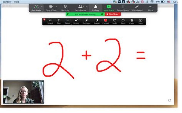 Can you write on Zoom screen?