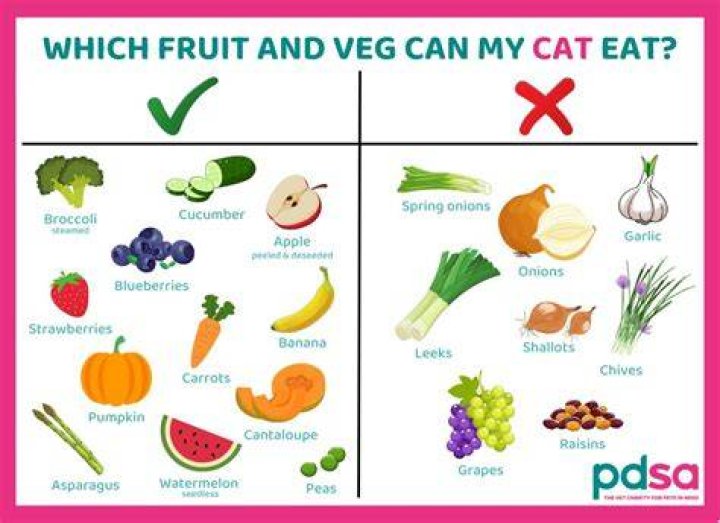 Do cats like lemons?