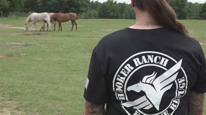 Do horses get struck by lightning?
