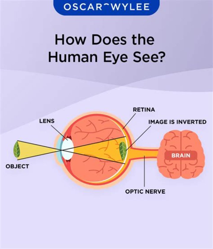 Do our eyes see in 8K?