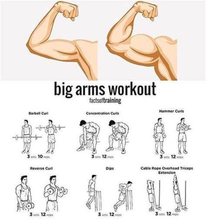 Do planks make your arms bigger?