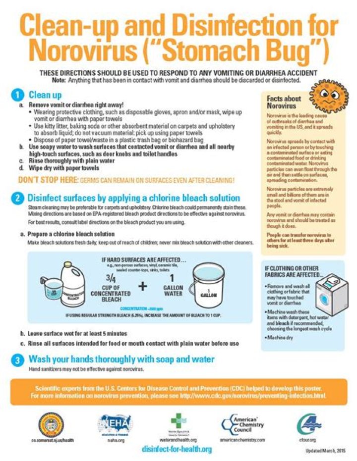 Does diarrhea clean you out?