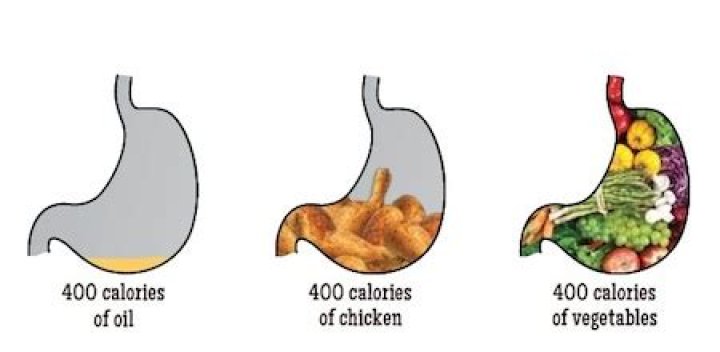 Does eating smaller portions shrink your stomach?