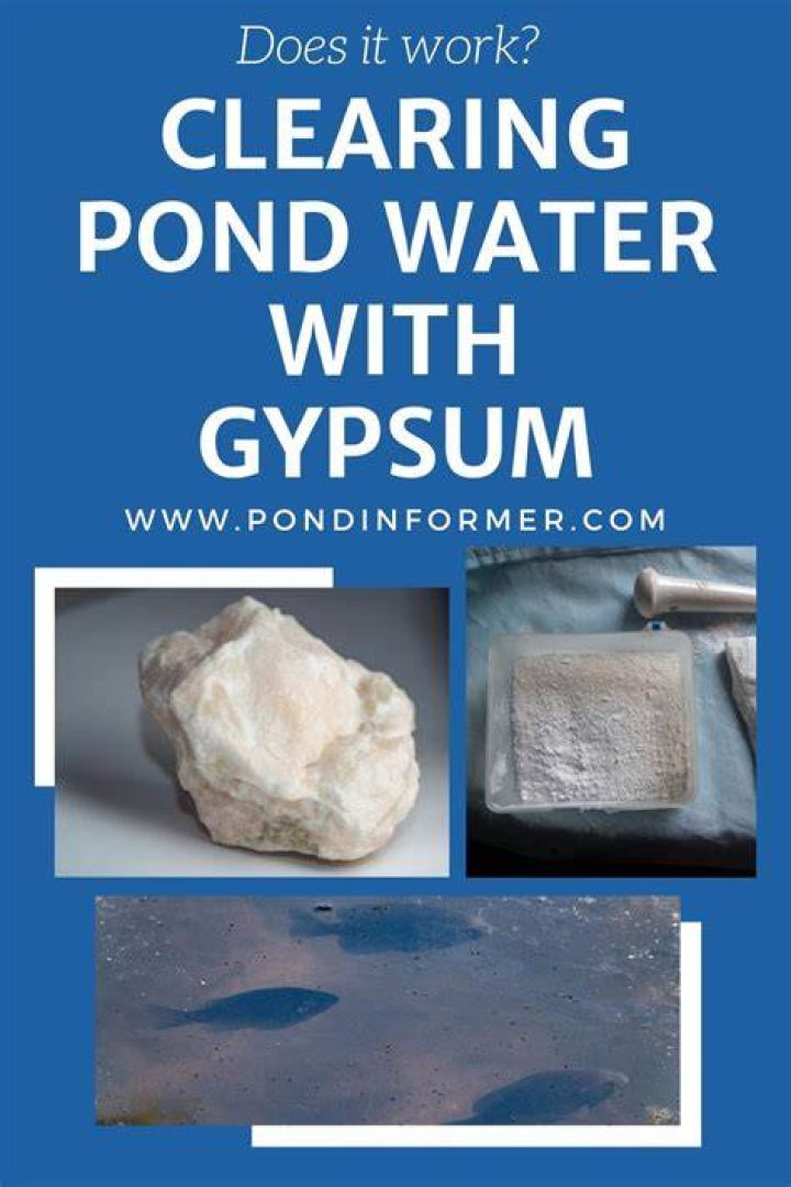 Does gypsum absorb water?