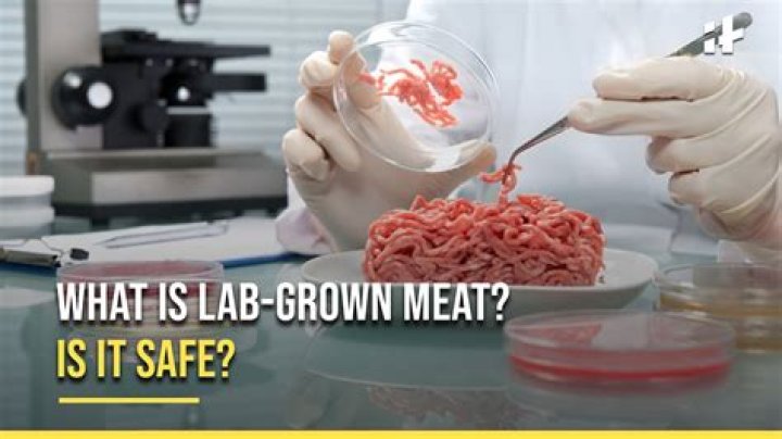 Does lab-grown meat hurt animals?