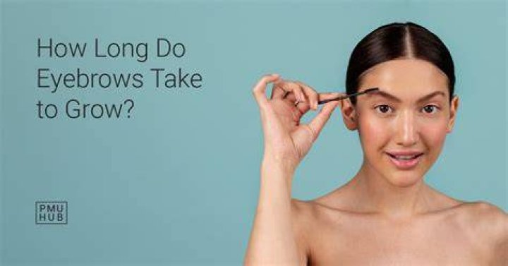 Does rubbing your eyebrows help them grow?