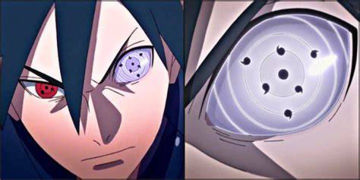 Does Sasuke take Madara's eyes?