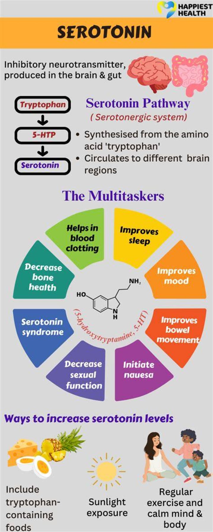Does serotonin stop anxiety?