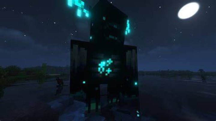 Does the warden Despawn?