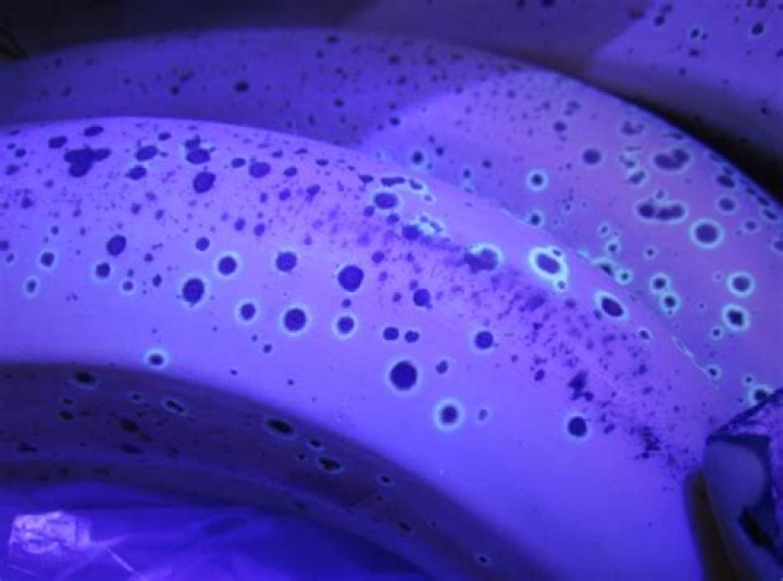 Does vinegar glow under black light?