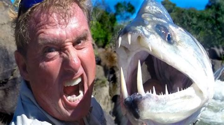 How big do Vampirefish get?