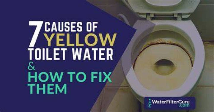 How do I fix yellow water in my house?