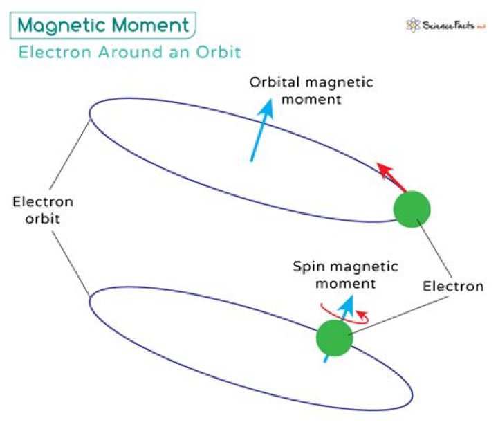 How do you calculate the magnetic moment of an electron?
