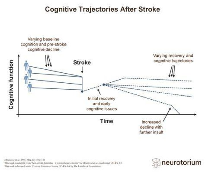 How do you regain cognitive function after a stroke?
