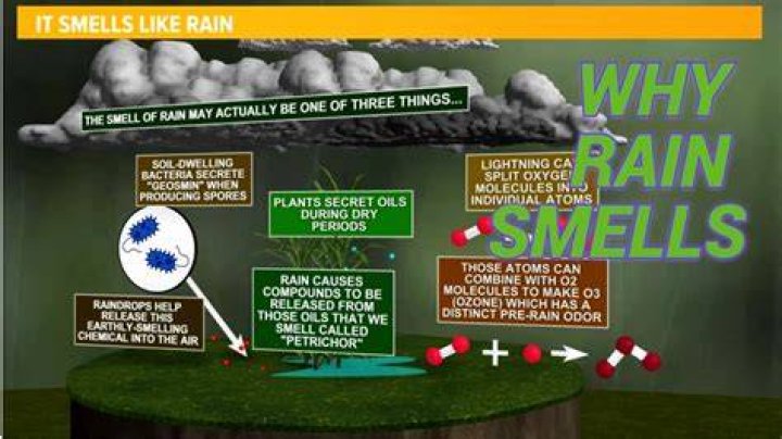 How does rain smell like?