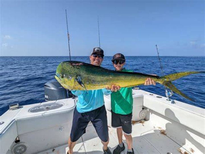How far out do you have to go to catch Mahi Mahi?