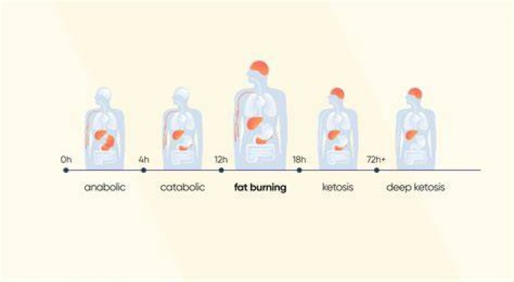 How long does it take to start burning fat on keto?