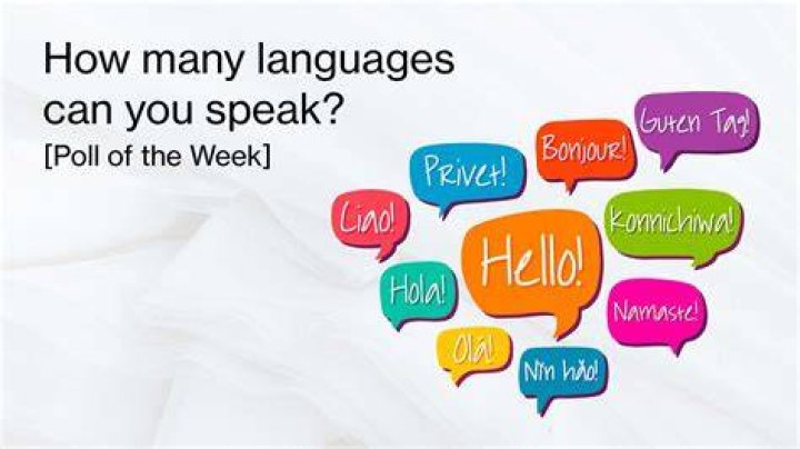 How many languages can Hibana speak?