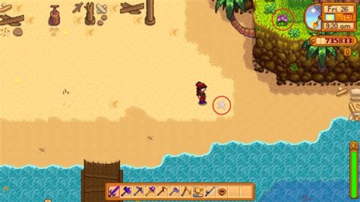 How many purple starfish can be found on the island in Stardew Valley?