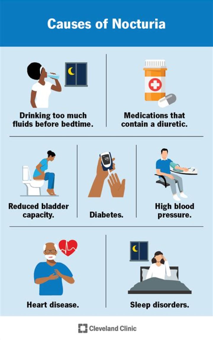 How many times a night should a man urinate?