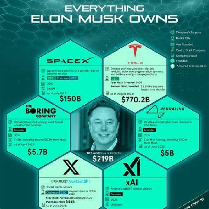 How much does Elon Musk owns Tesla?