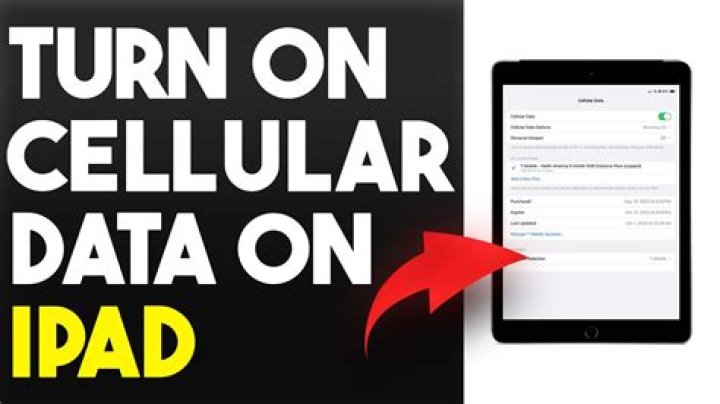 How much is cellular data on iPad?
