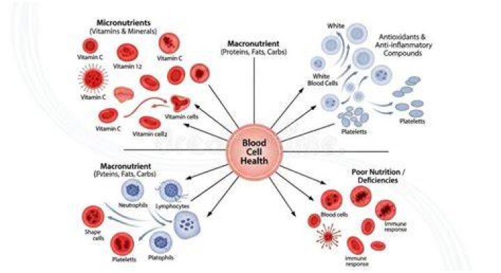 Is B12 anti inflammatory?