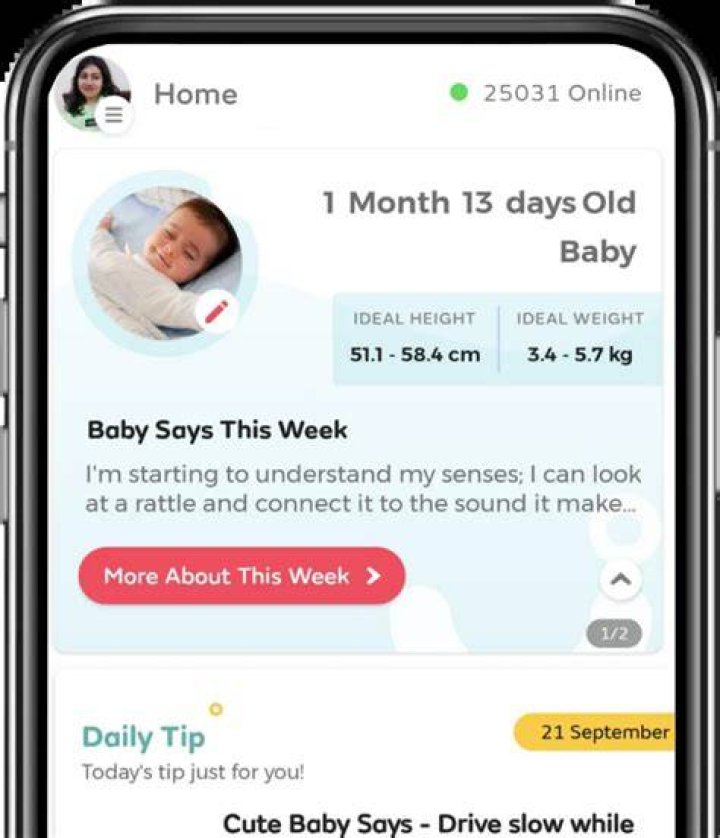 Is Cherry safe in pregnancy?